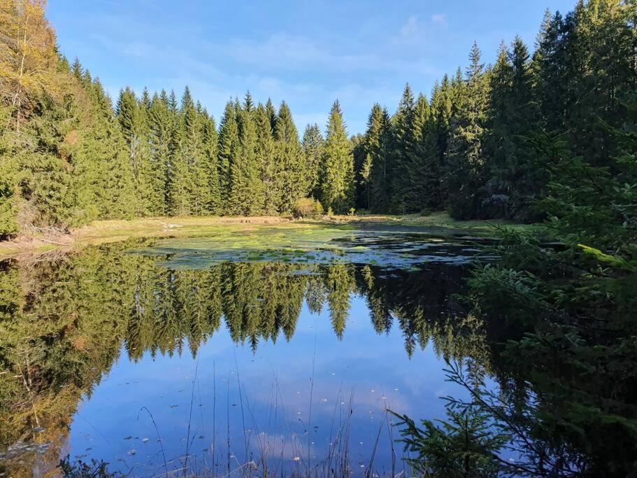 Relax Vila Lipno- apartmán v podkroví u pláže Windy Point Černá v Pošumaví Exteriér fotografie